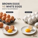 Brown Eggs vs White Eggs – What’s the Difference?