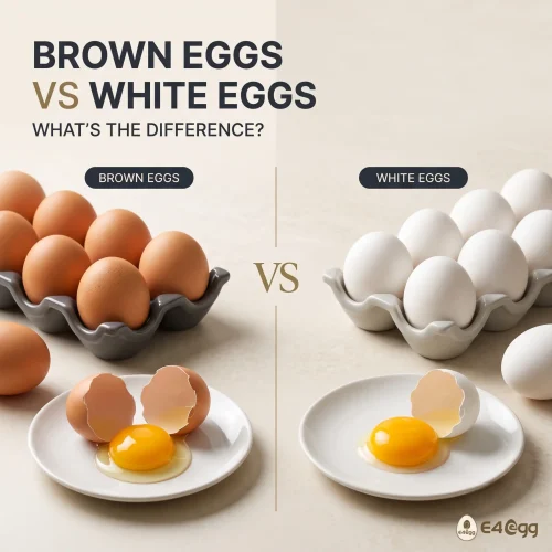Brown Eggs vs White Eggs – What’s the Difference?